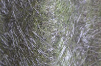 Farsley Beck Bottom fibreglass roof work